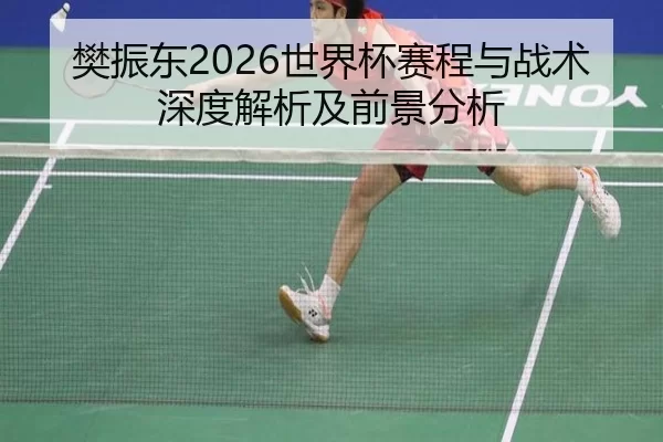 樊振东2026世界杯赛程与战术深度解析及前景分析